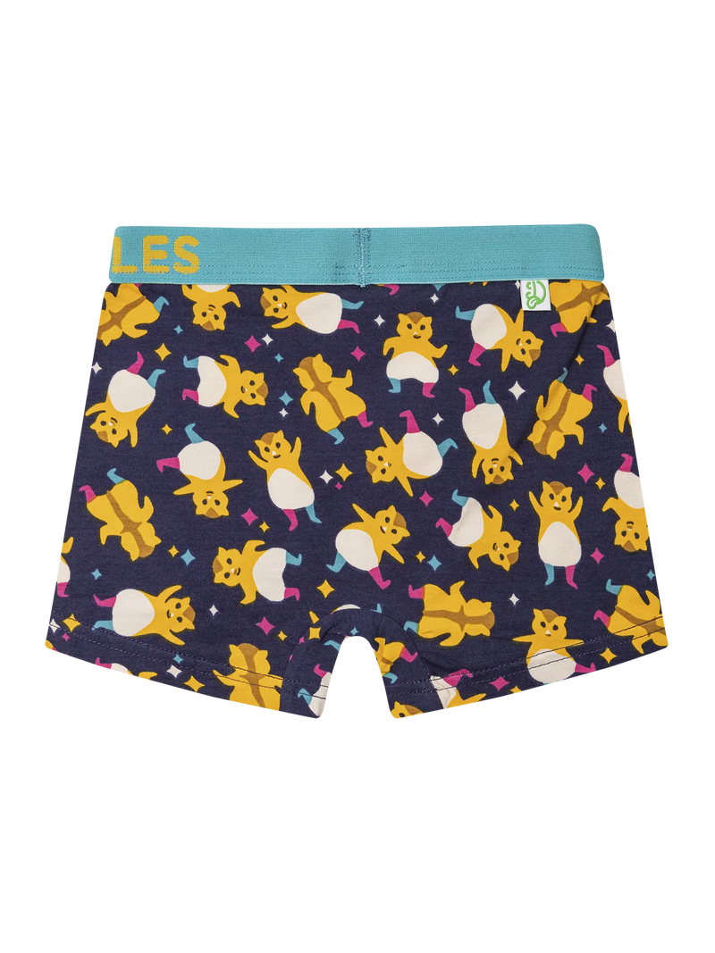 boys-boxers-party-hamsters-okt-17/17ab0a8f9c066d0f9d95926892dd9212cb363a3d