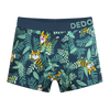 Boxer da bambino Buonumore Tigre