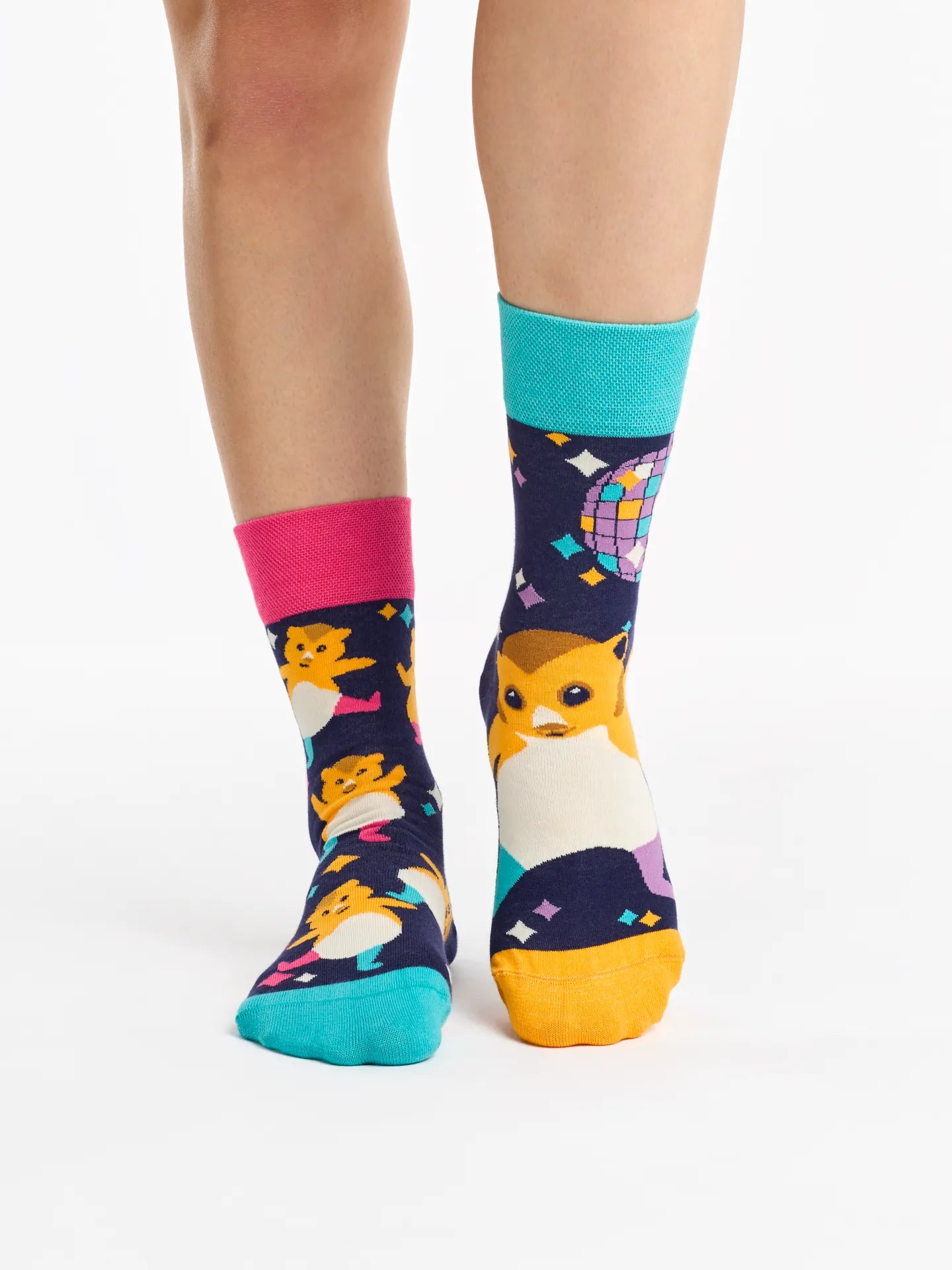 regular-socks-party-hamsters-1d/1d3ff8abdd885b2eae20a5c4c494ad6b6bb020c7