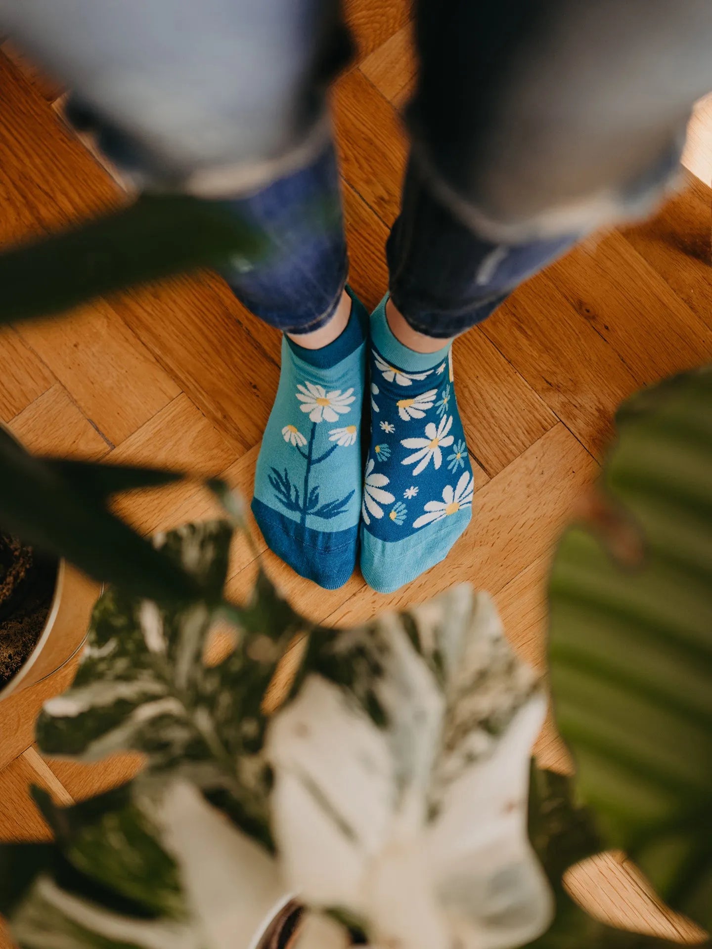 ankle-socks-chamomile-28/287e5d7d7cdcfda2dc6a0f404332eca27dfc47e4