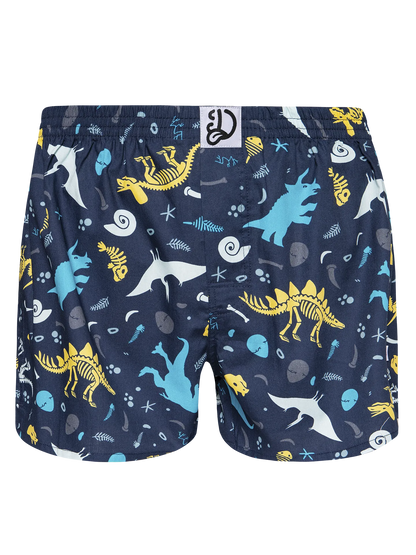 mens-boxer-shorts-dinosaurs-29/29324b4593affee5913072c795e4f472e2668407