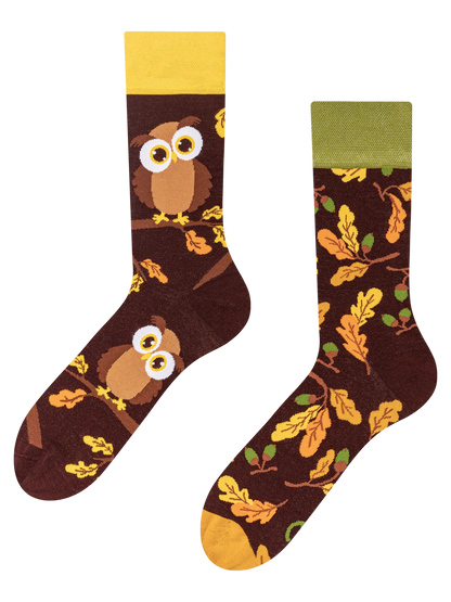 regular-socks-curious-owl-02-e1/e19b4ebf0026b8e0561871f7a516343d422c01ce