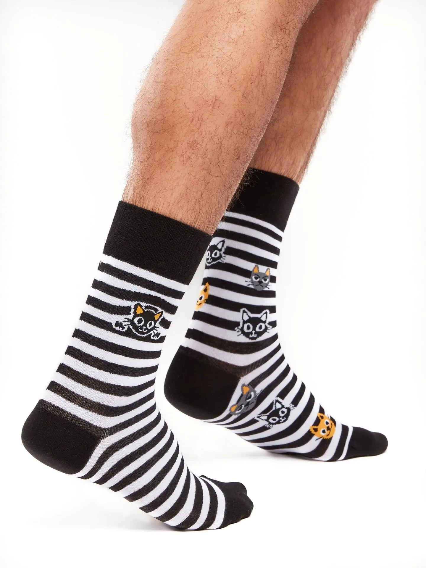regular-socks-cats-stripes-02-b0/b09eeacad05dfb6f80feb5d41e58e51eb856af4d