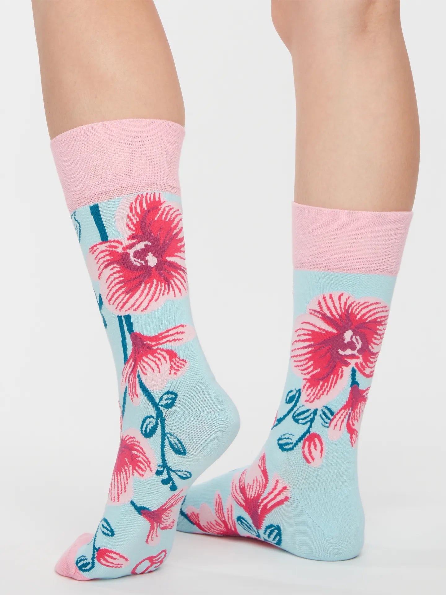 regular-socks-orchid-02-b6/b63d62595103adc676dcdc3f9a0a745a7f8c1ce2