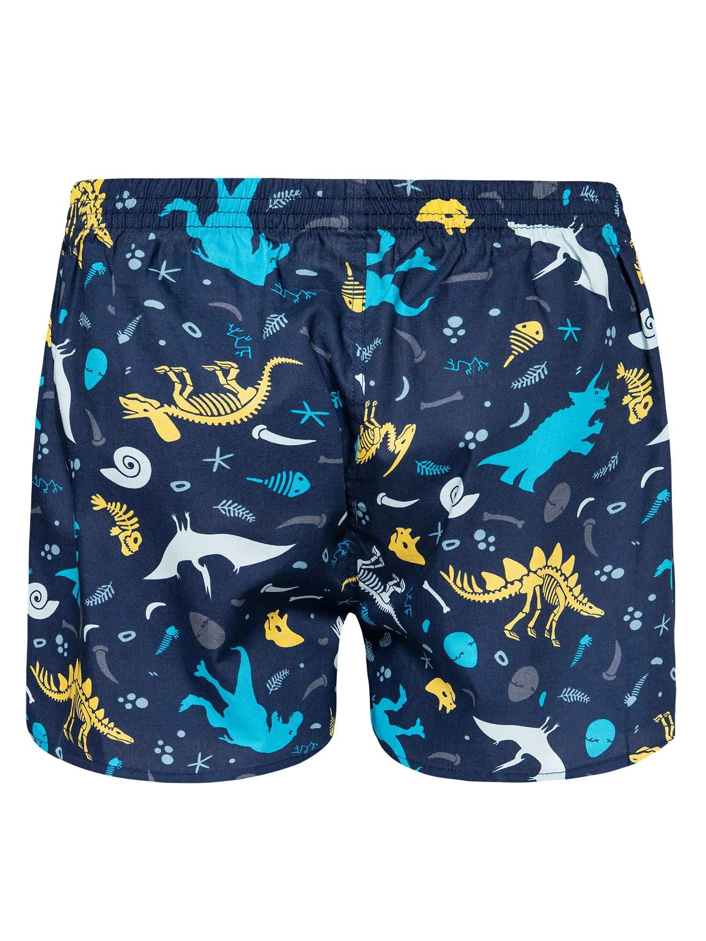 mens-boxer-shorts-dinosaurs-44/44f020eb7fd94936f2571f6362244a81bce86d95
