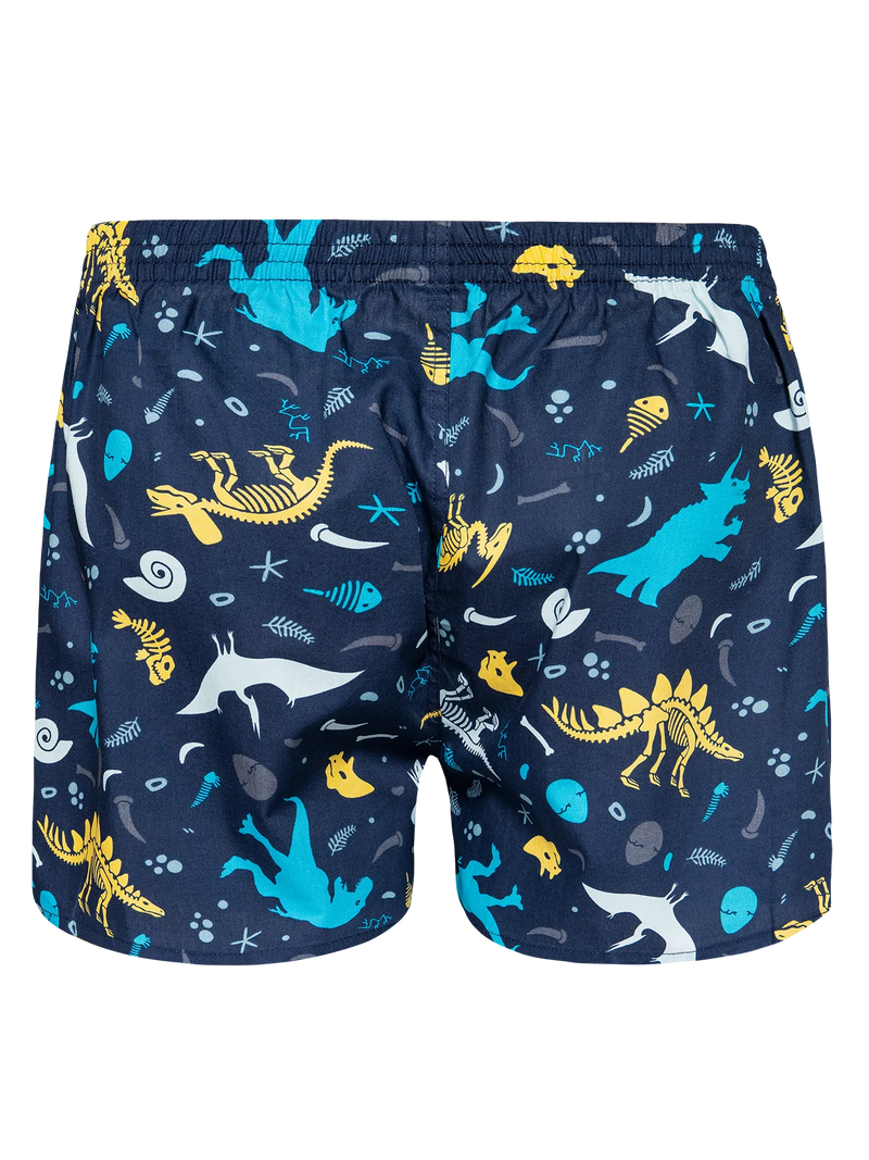 mens-boxer-shorts-dinosaurs-44/44f020eb7fd94936f2571f6362244a81bce86d95