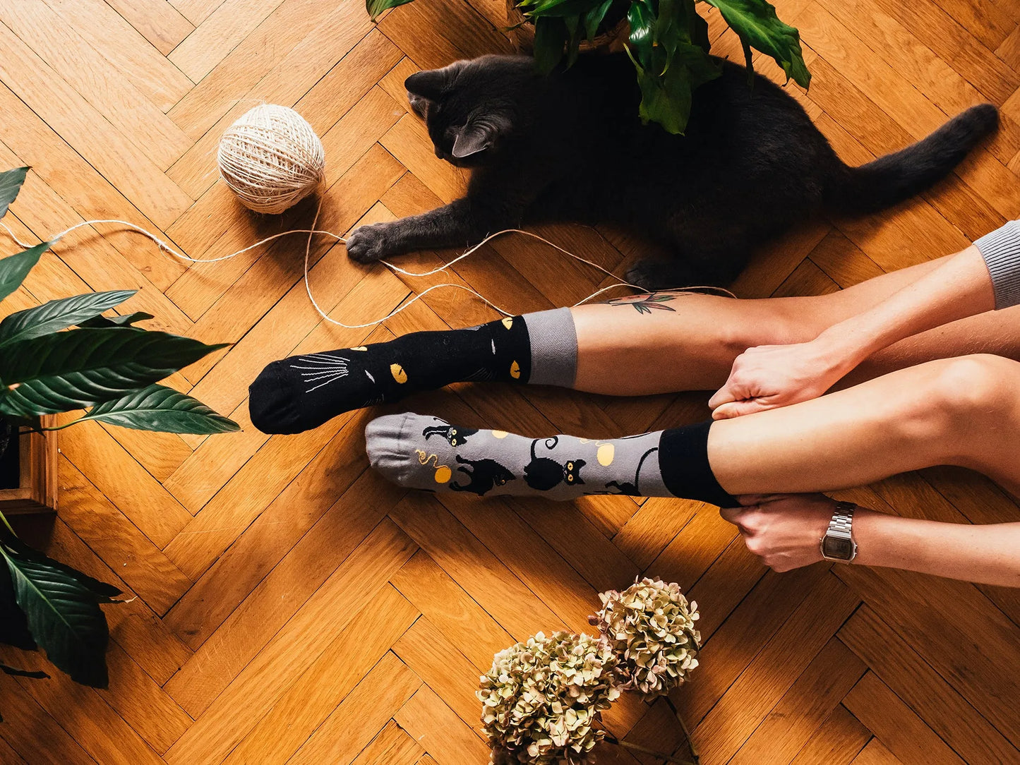 regular-socks-cat-eyes-02-fa/fa75814f16f1234c633a9adb8503245517e059d8