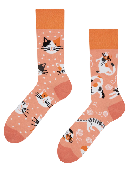 regular-socks-playful-cats-53/539105b107c531a54e4ddc5e016c712480e2c3bc