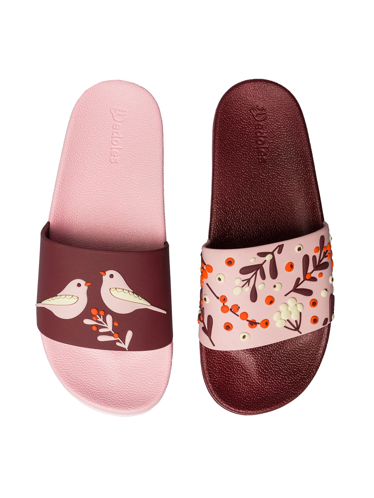 slides-birds-berries-59/595f81dd67c6e12124f52809c76a7a13f6e81499