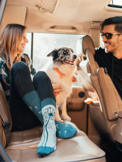 regular-socks-dandelion-5e/5eca9b8d78fda690976da7ef1ad50746144323a0