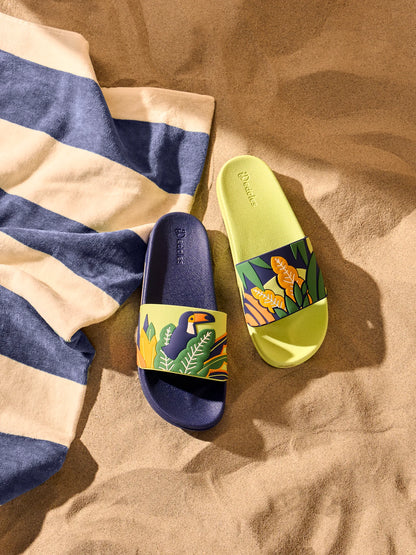 slides-toucan-leaves-09/0922205685859706d229413ac8a20161f22d87a0