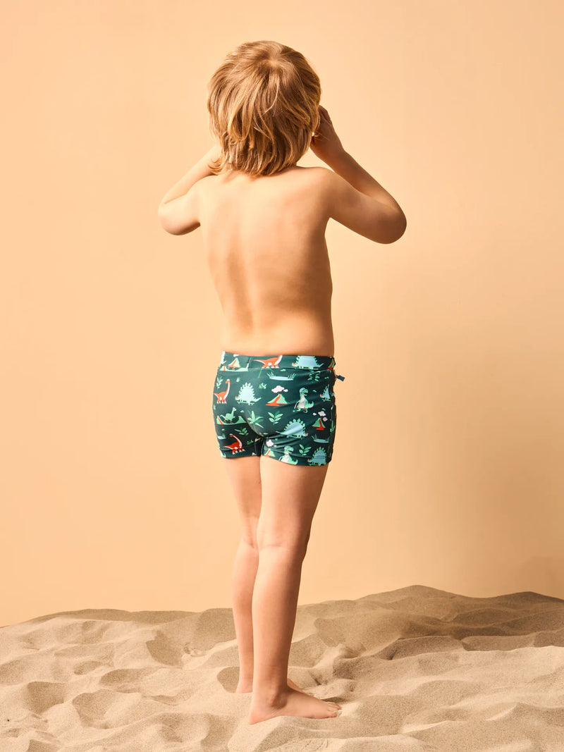 kids-elastic-swim-shorts-dino-skatepark-6b/6b714f6babd339bb5b2a2aa0139389676e026ddf