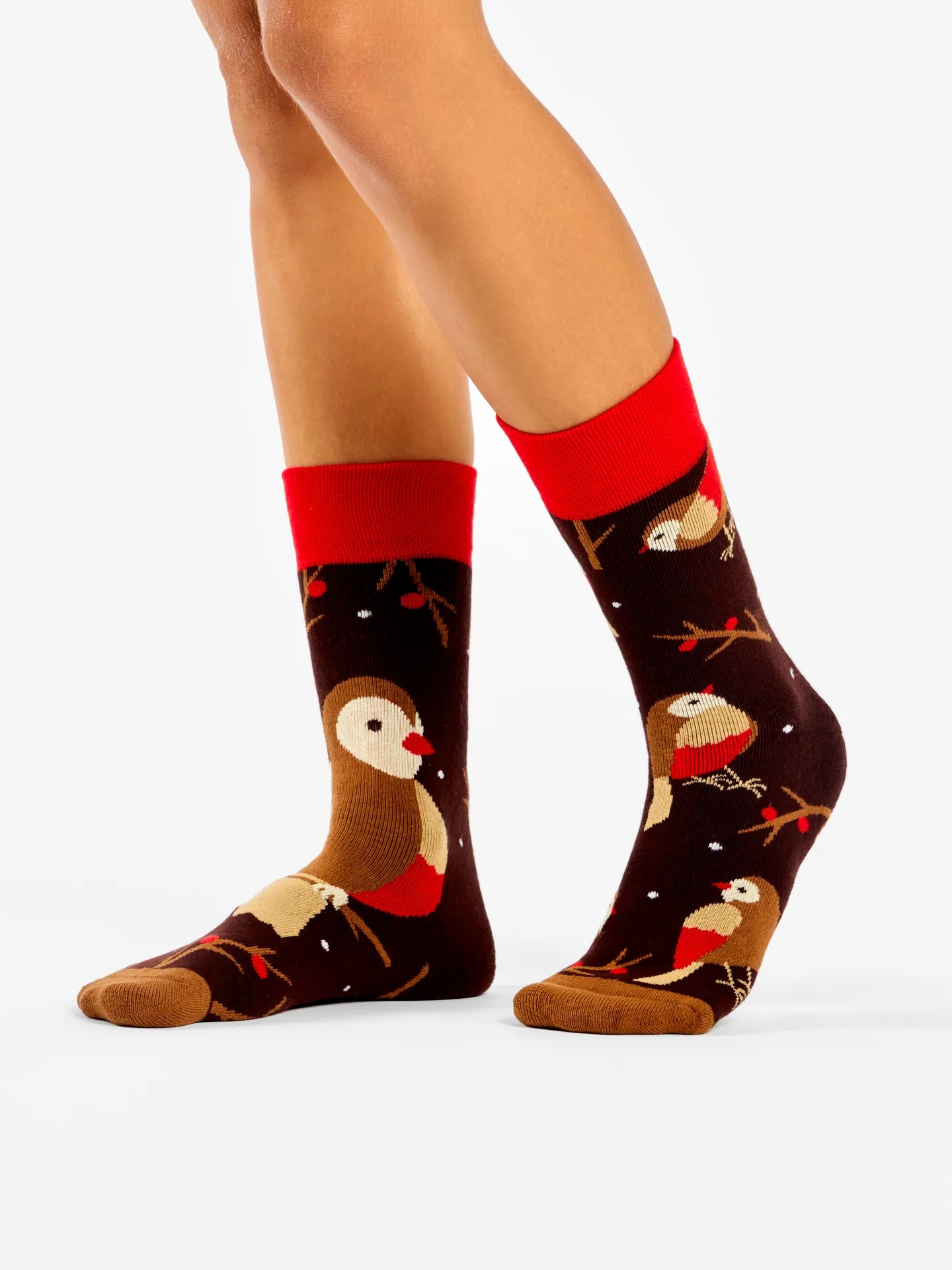 warm-socks-bird-on-a-branch-05/055e99f23c600fa1d873b5d6468e6ec34a5f21e1