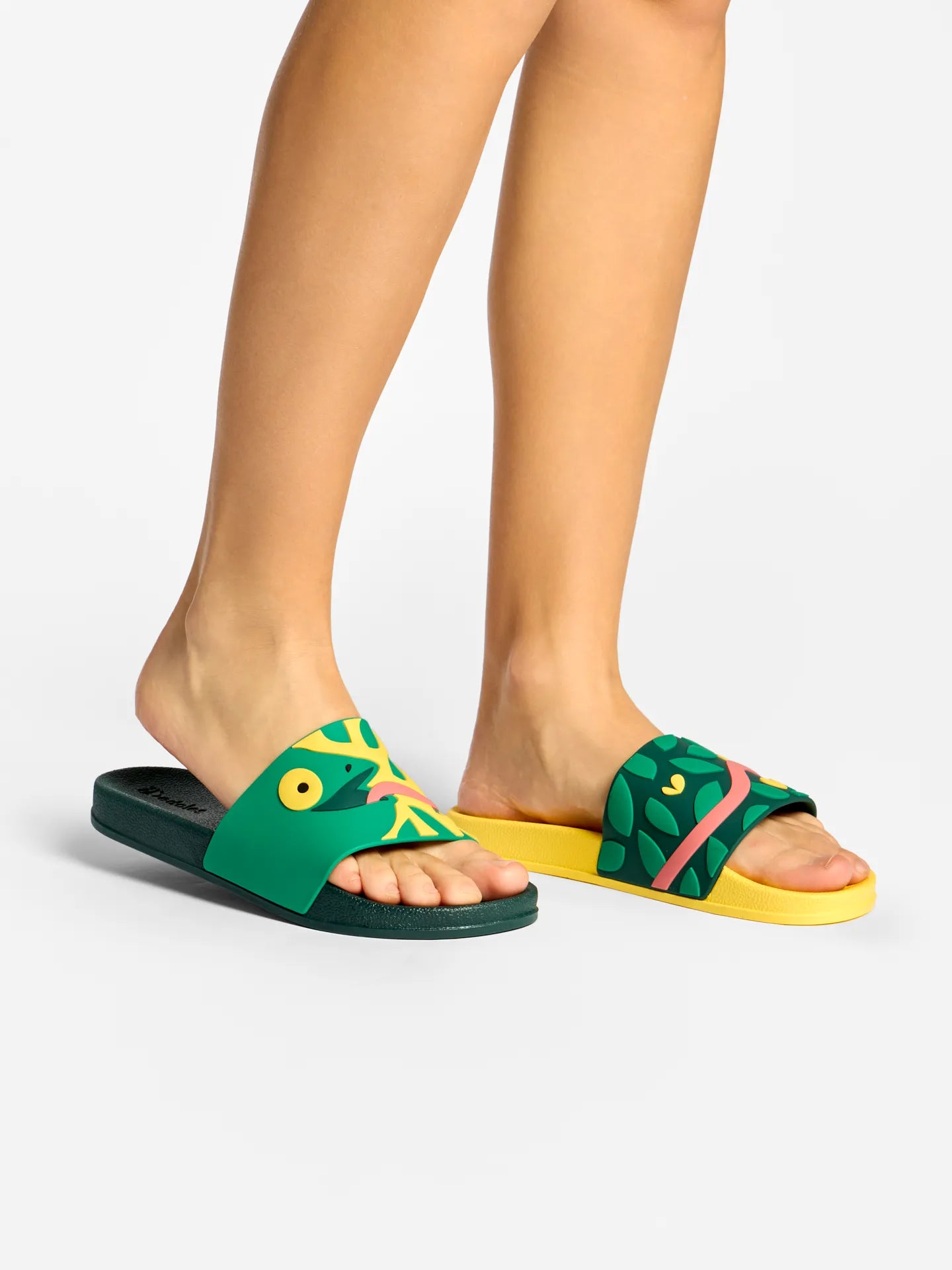 slides-hunting-chameleon-a6/a6ba94c84a1037efad485078a97f5d63819c9a2b