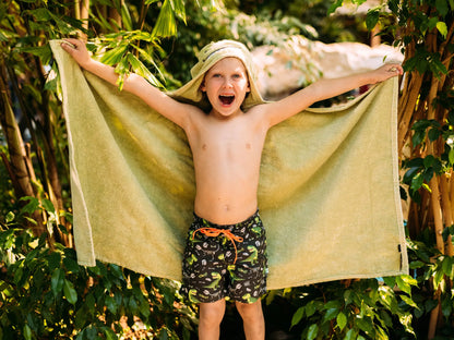 boys-swim-shorts-tyrannosaurus-rex-74/746c8ca74b108c90cf92025c00a2790aca3990de