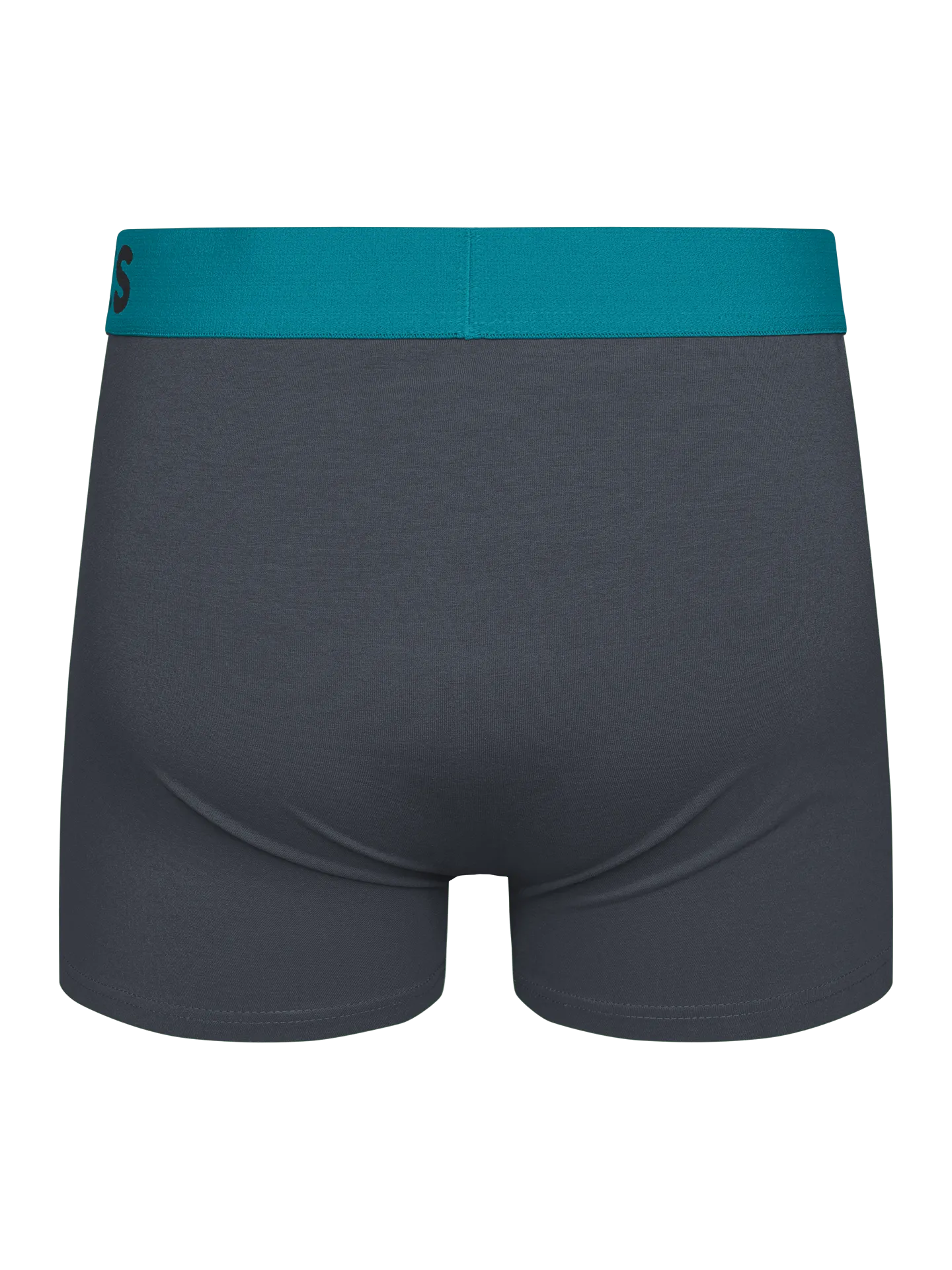 anthracite-grey-mens-trunks-1-78/78bd35e5e0e8c742068ce801efe668554a852d8b