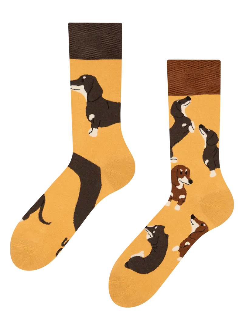 regular-socks-dachshunds-7a/7a9d9ee6d92d14ded441c93b34a97d16327984ef