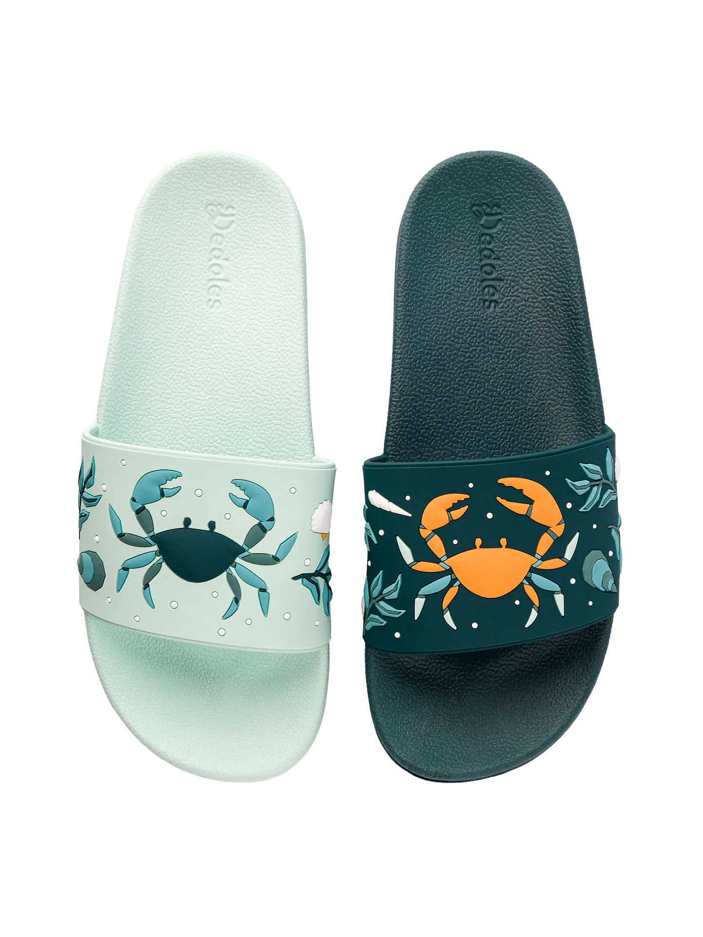 slides-sea-crab-1-ba/ba6fdb07432531d16b180c53b6635accdc1119e3