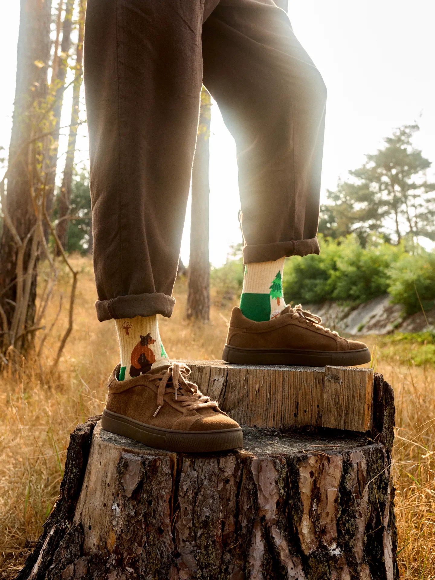 sports-socks-forest-bear-88/88723d92bfb35e06516264b423b73156f30987e1