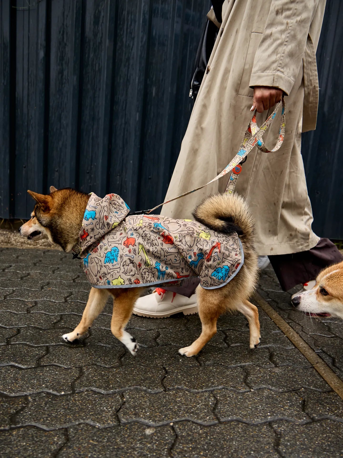 dog-raincoat-dog-pack-8c/8c0165ed9462d4c0b566b3bd44b1e6fe6878520f