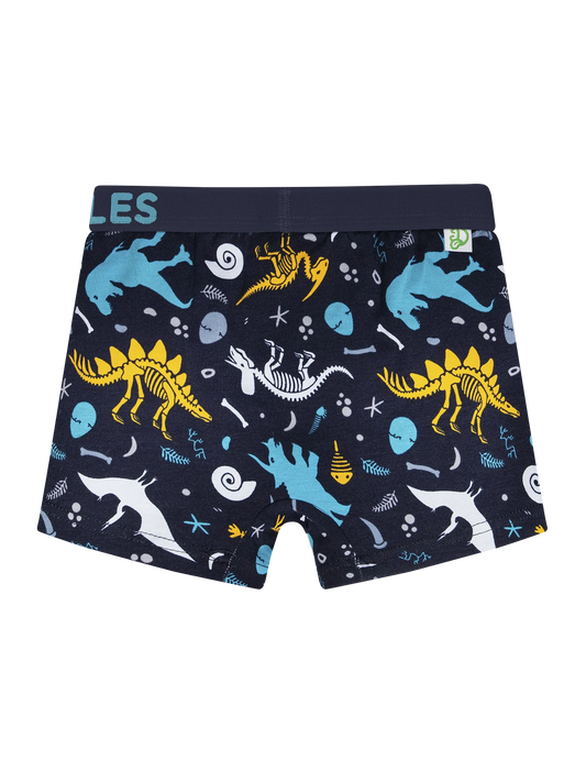 boys-boxers-dinosaurs-95/95d7369534e43ee59f2ddc3b47b85bc6916cc3c1