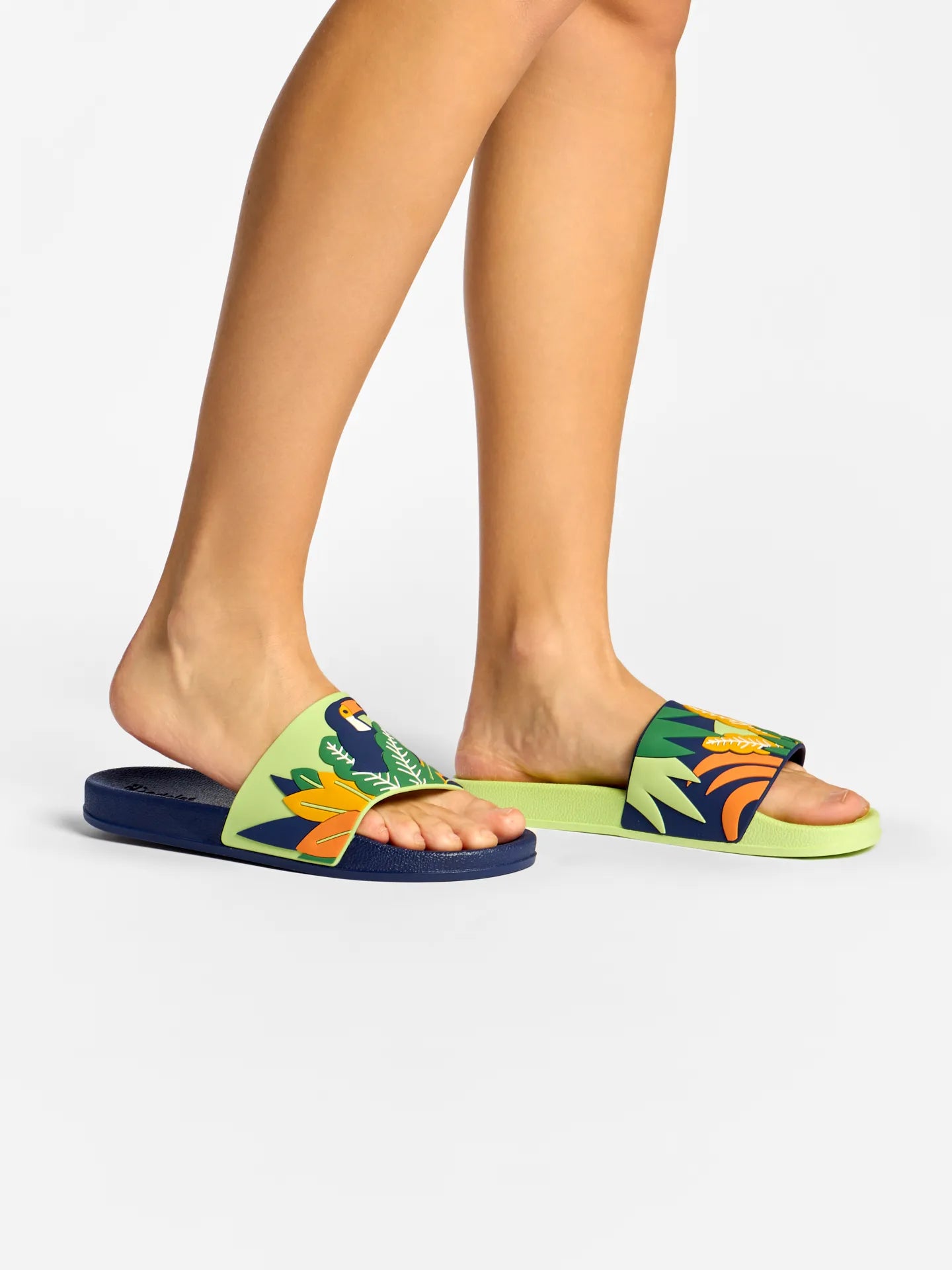 slides-toucan-leaves-bf/bfb95982cdd3f93aec4889047d705e329c4fd2ce