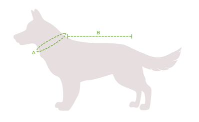 Impermeabili per cani