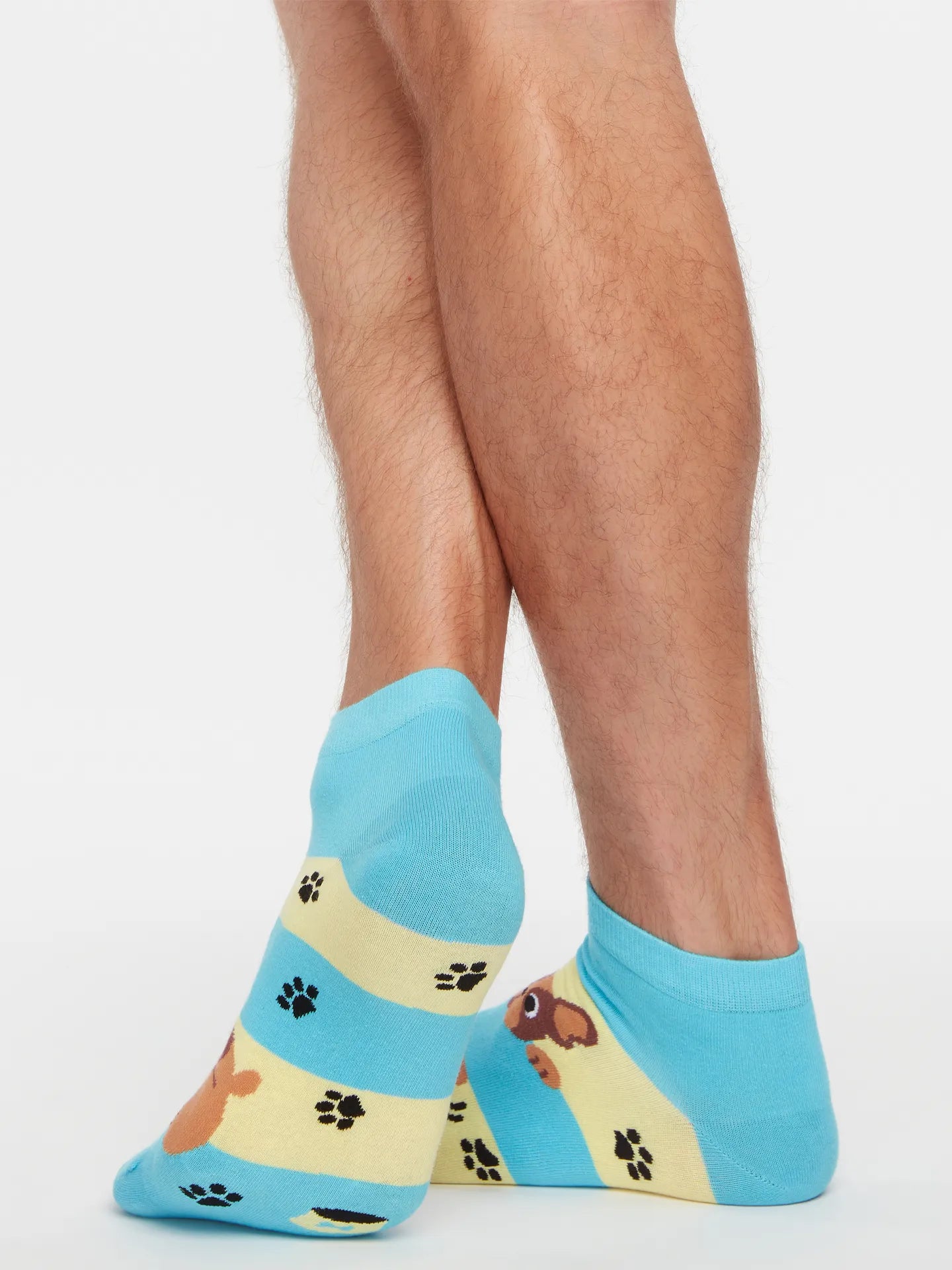 ankle-socks-dogs-stripes-02-a6/a6d308fbd40f2a7209b92137a695a3271c4d95ae