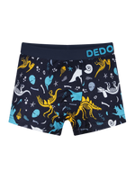 boys-boxers-dinosaurs-aa/aad50367a8ba780d27e2b33740d58a214dba0594