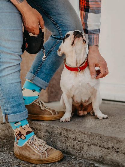 regular-socks-dogs-stripes-02-77/7732575982cbc61f1f7a9ebb254b418950ac719a