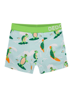 boys-boxers-turtle-the-surfer-okt-b4/b4070f8e488c1371e3e76524f3b873fd8fad7234