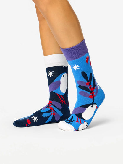 warm-socks-bird-in-winter-ba/ba4b9f73c3cb6656d10f10bcd6d3a7a098f6a096