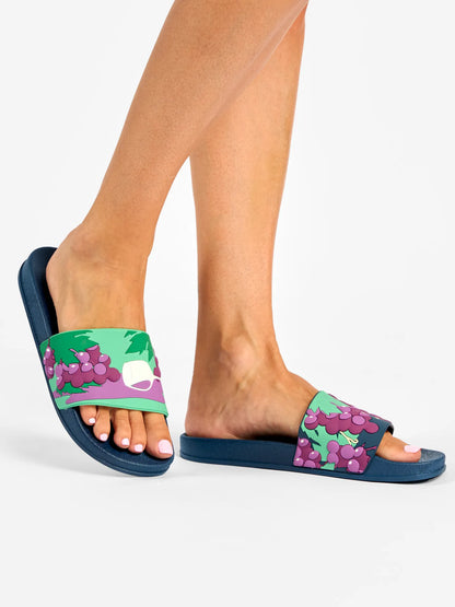 slides-wine-grapes-bc/bce8cbaec4401e0c3f0b159f86525409ad0f9eb3