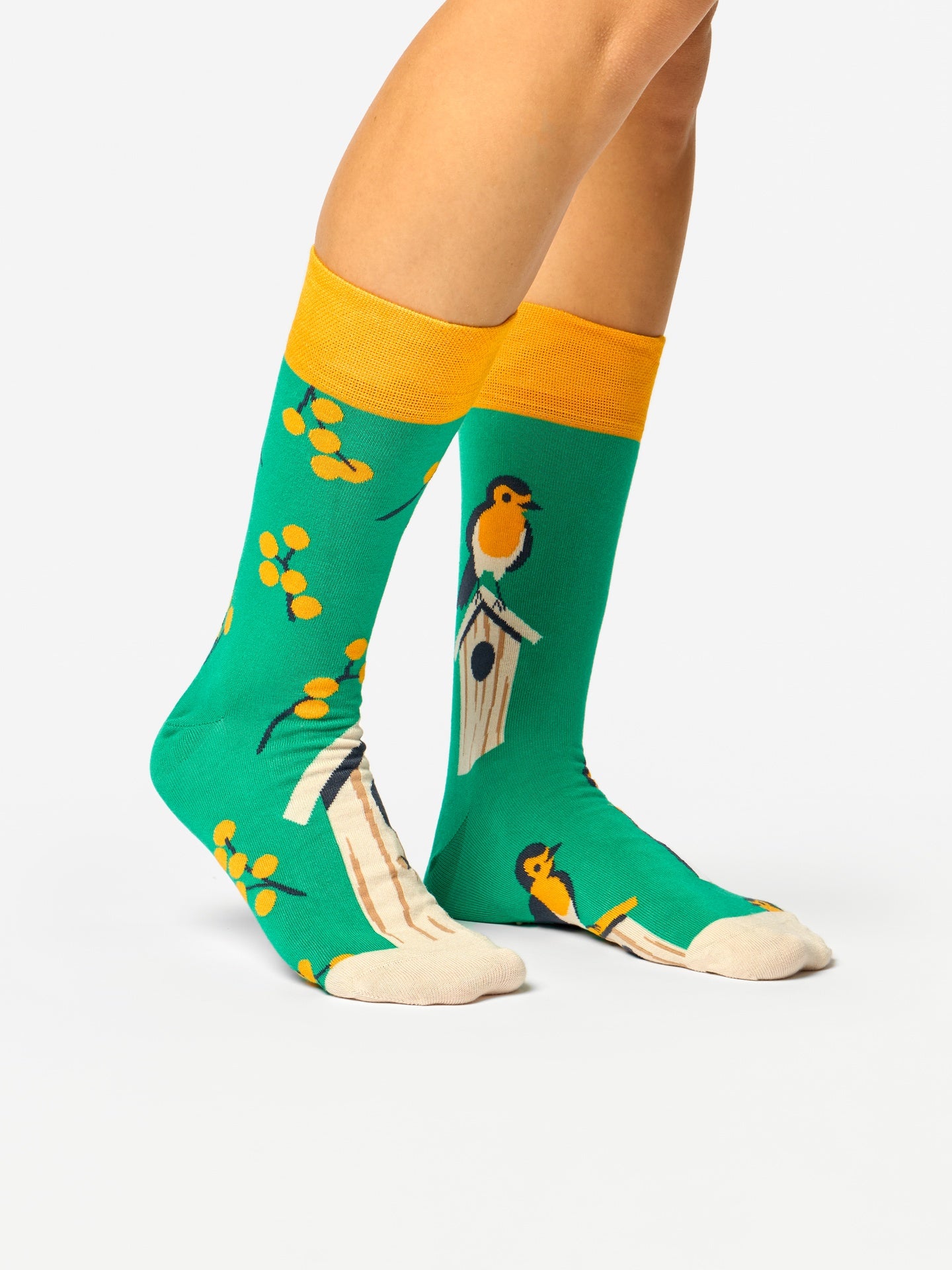 bamboo-regular-socks-birdhouse-bd/bd0832ef8de733d93e2ab0e889237c6c7a4fff00