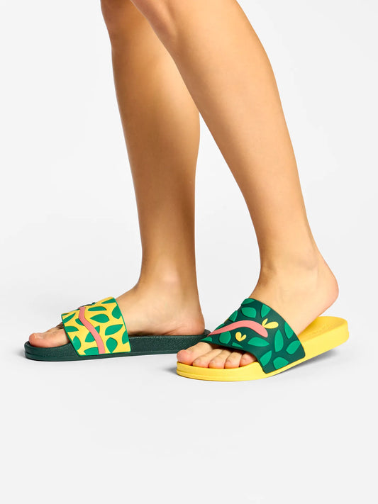 slides-hunting-chameleon-bf/bfa4db27d3dc15be38c5908f54bb7f542e451d4b