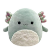 SQUISHMALLOWS Chasmen l’assolotto con la pancia soffice, dimensioni: 30 cm