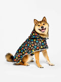 Impermeabile per cani Cuori e zampe