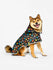 dog-raincoat-hearts-paws-c9/c92e8bed5346a025297578b02f252bfe24aeb23a