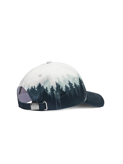 cap-cold-forest-c9/c9628e0931194606b56bb997a84618df09e22ac0