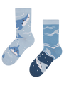 kids-socks-grey-shark-d4/d4d3f31ab172105ab9ae0105729c3ee8997afd1a