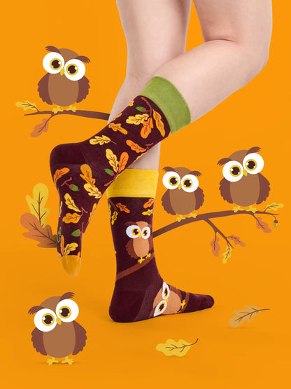 regular-socks-curious-owl-02-e0/e08743dfe34f46fc79168c34c98fbd989e27ae80