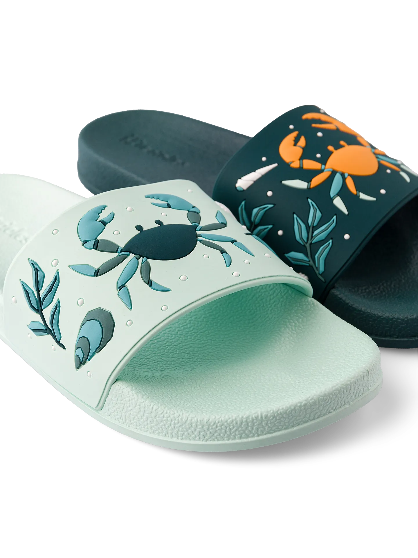 slides-sea-crab-1-d7/d70a0620183a791c4ed20a87a21d05ab2faa1321