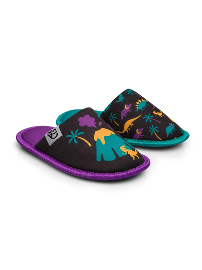 kids-slippers-dinos-volcanos-dd/dd12f75a38f8d01f2ffe4d9e784db2235a90b451