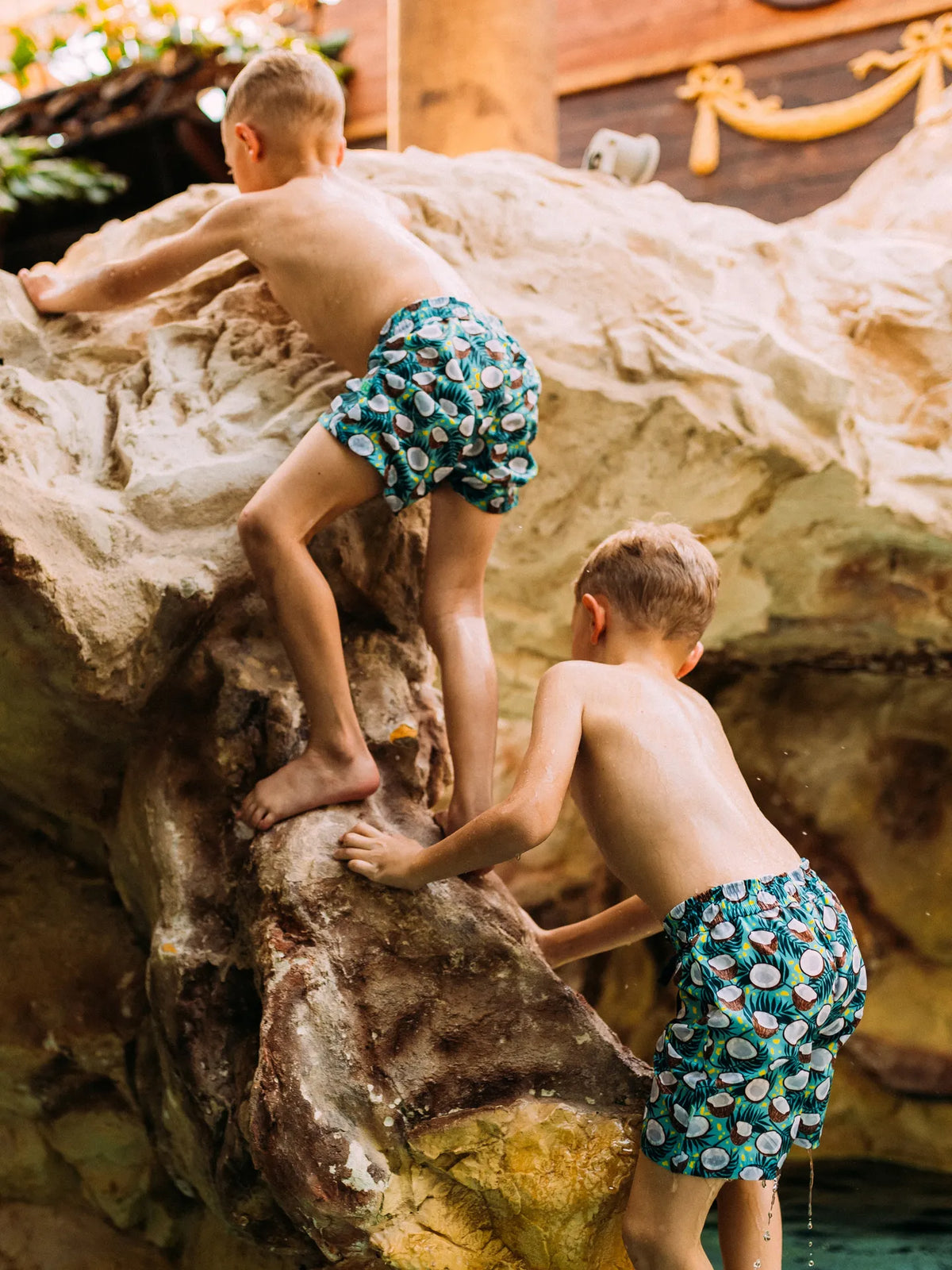 boys-swim-shorts-coconut-ed/ed00cd9054eed1988d3de4c3e8e39d7bed7987cd