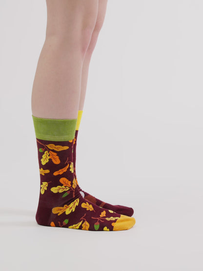 Calzini Buonumore Gufo curioso